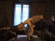 Rex gigante 120cm usato  Asti