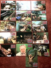 Mörder alligator aushangfotos gebraucht kaufen  Waldsassen