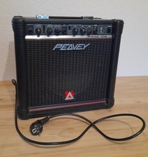Peavey rage 158 gebraucht kaufen  Silberstedt