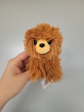 Petooties russ pomeranian for sale  SOUTHAMPTON