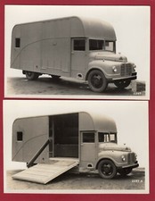 Horsebox lorry advertising for sale  DORCHESTER