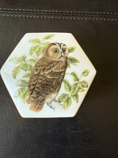 Coalport owl tree for sale  San Jose