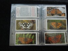 british butterflies grandee cigar cards for sale british butterflies grandee cigar cards for sale MELTON MOWBRAY