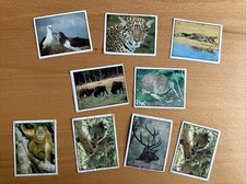 Panini sticker wwf gebraucht kaufen  Schwetzingen