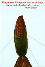 Postcard unused many for sale  Eads