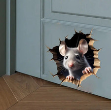 Maus effekt wand gebraucht kaufen Maus effekt wand gebraucht kaufen  Peißenberg