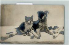 39150266 hund katze gebraucht kaufen  Deutschland