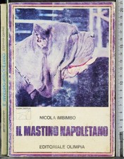Mastino napoletano. nicola usato  Ariccia