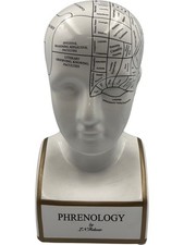 Phrenology head bust for sale  AYLESBURY