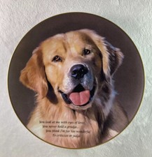 Cherished golden retrievers for sale  Vergas