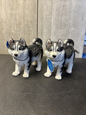 Siberian husky dog for sale  Macomb