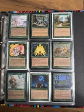 124 karten wasteland gebraucht kaufen  Sulzbach a.Main