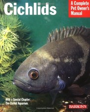 Cichlids everything purchase for sale  UK