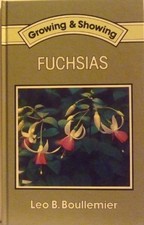 Growing showing fuchsias for sale Growing showing fuchsias for sale  ROSSENDALE