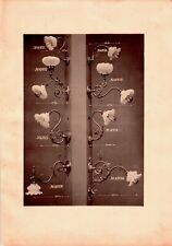 Lot catalog documents d'occasion  Expédié en Belgium