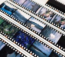 Filmentwicklung film developme gebraucht kaufen  Nürnberg