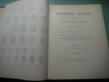 British birds nests for sale  DORCHESTER