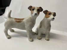 Sweet jack russell for sale  ASHFORD