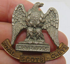 royal scots greys for sale  CARTERTON