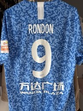 Dalian pro 2020 gebraucht kaufen  Potsdam