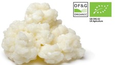 Grãos de kefir de leite vivo orgânico certificado pela OF&G testados em laboratório e fabricados no Reino Unido comprar usado  Enviando para Brazil