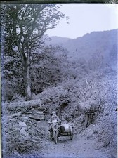 Antique glass negative for sale  COLCHESTER