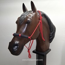 Custom draft horse for sale  Rockbridge