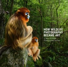 Wildlife photography became for sale  AMMANFORD