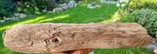 Augen schuppen treibholz gebraucht kaufen  Freilassing