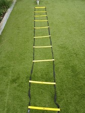 Speed agility ladder for sale  WINDSOR