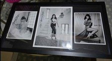 Signed authenticated bunny for sale  Janesville