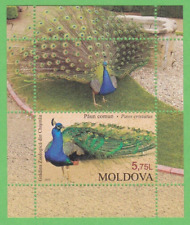 2013 peacock stamp for sale  Deland