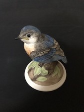 Bohemian birds baby for sale  Stuart