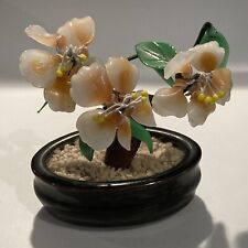 Vintage bonsai tree for sale  PAISLEY