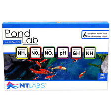 Labs pond lab for sale  DARTFORD