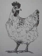 Original small black for sale  ABERYSTWYTH