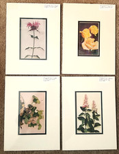 Lot lithographs floral for sale  Clementon