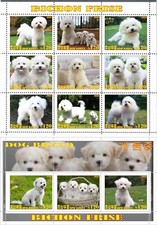 Stamp sheet block d'occasion  Expédié en Belgium