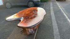 Rustic large live for sale  BASILDON