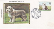 Dogs old english for sale  SOUTHALL