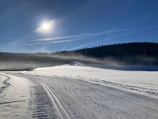 Langlauf ski salomon gebraucht kaufen  Steißlingen