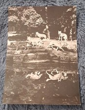 Tier postkarte 1967 gebraucht kaufen  Hamburg