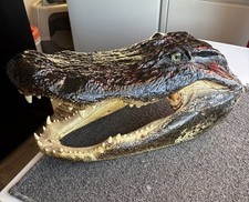 Alligator head foot for sale  Grangeville