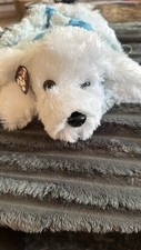 Soft fluffy white for sale  Tomahawk