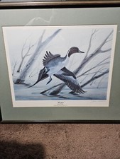 Artwork paintings pintail for sale  Des Moines