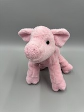 Aurora adorable pig for sale  Pittsburgh