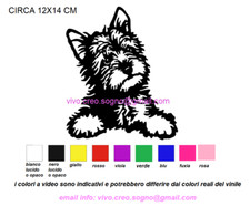Adesivo sticker auto usato  Villanova di Camposampiero