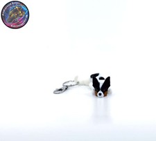 Rat terrier dog for sale  Las Vegas