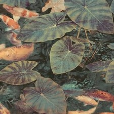 Grandeco koi teal for sale  KINGSTON UPON THAMES