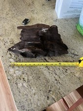 Large malaysian driftwood for sale  New Preston Marble Dale